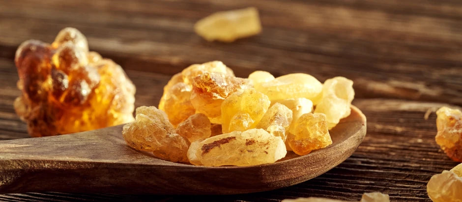 Frankincense: a natural collagen for skin youth and glow
